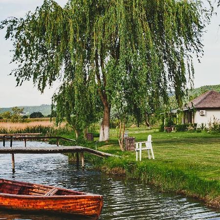 Pensiunea Balta Paradisul Pescarilor Pufesti Экстерьер фото